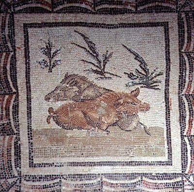 Cinghiale (mosaico) da Roman Roman